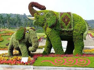大象绿雕